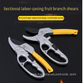 segmented labor-saving fruit branch pruning shears